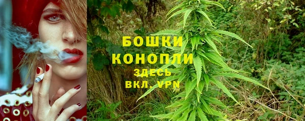 ECSTASY Богданович